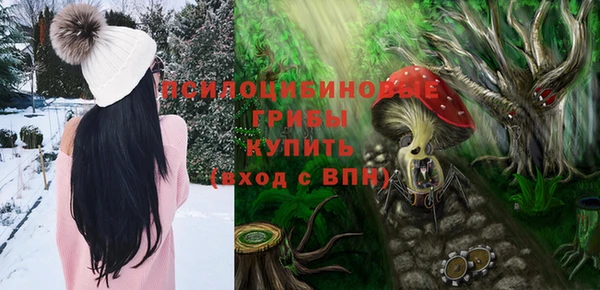 не бодяженный Алексин