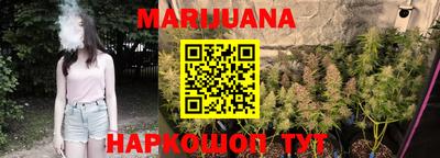 сатива Малгобек