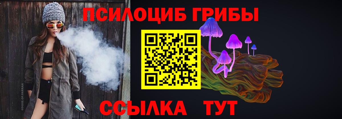 Псилоцибиновые грибы ЛСД  Вход с VPN  где продают   Черкесск 