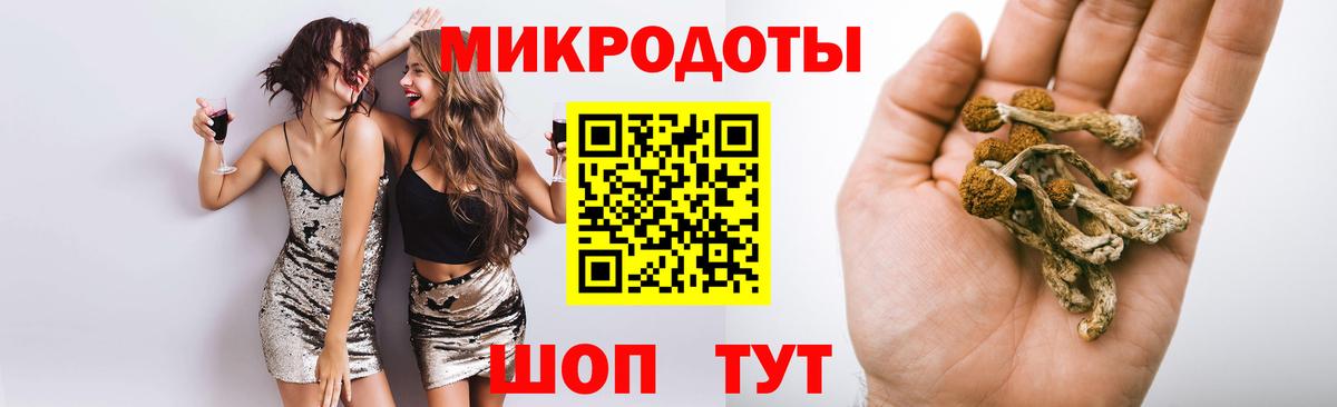 Псилоцибиновые грибы мицелий Черкесск